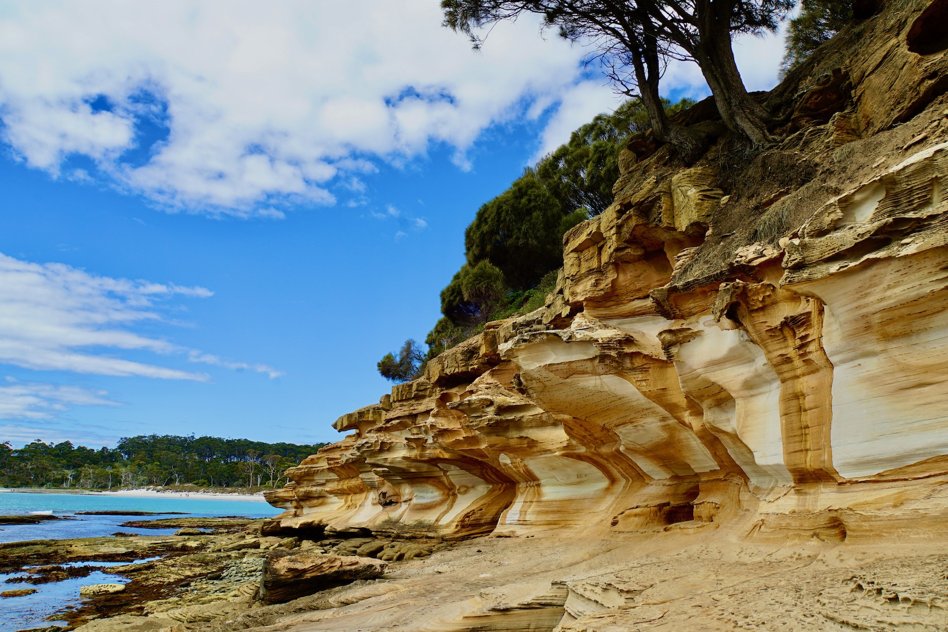 Maria Island Circumnavigation Cruise And Walk Day Tour Australian Day 