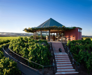 Adelaide McLaren Vale Private Wine Tours