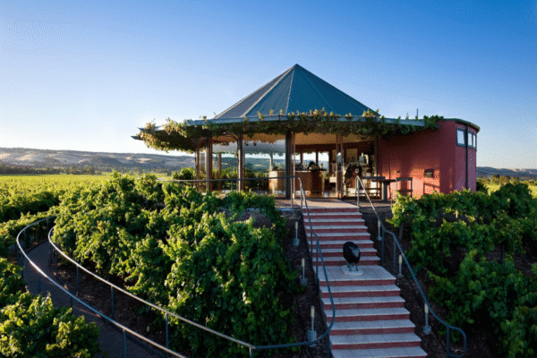 Adelaide McLaren Vale Private Wine Tours