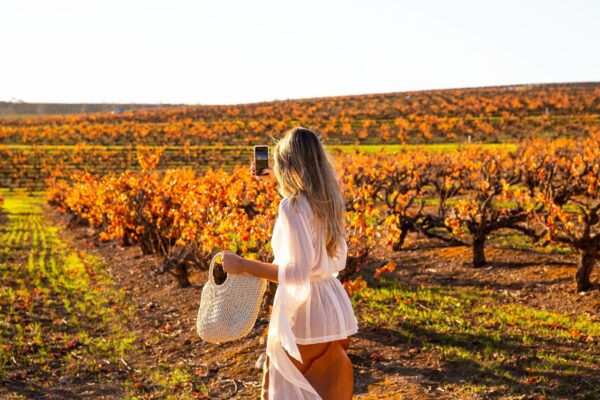 Barossa- Small Group Wine Tours with Lunch