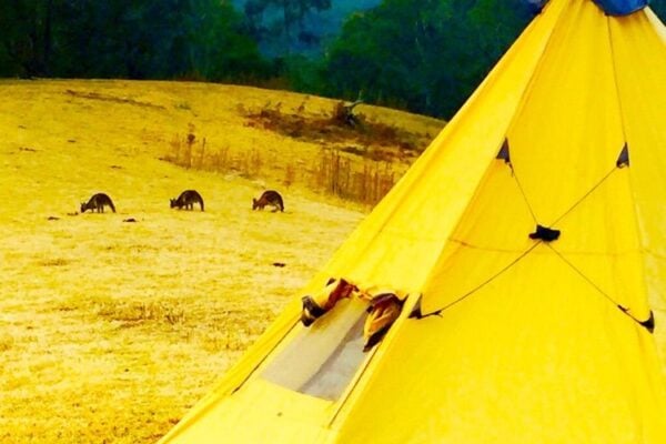Blue Mountains Into The Wild Overnight Camping 4WD Off Road Wilderness Adventure + River cruise.