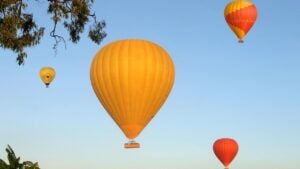 Cairns Classic Hot Air Balloon flight