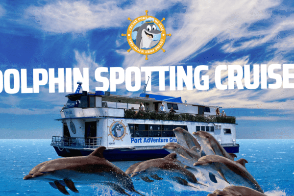Dolphin Spotting River Cruise