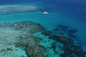 Enjoy Dunk Island | Outer Reef Snorkel & Dunk Island I Mission Beach Day Return
