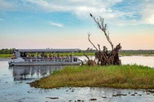 Kakadu Retreat Yellow Water Cruise (Camping) 2 Day - Glamping Tent from Darwin