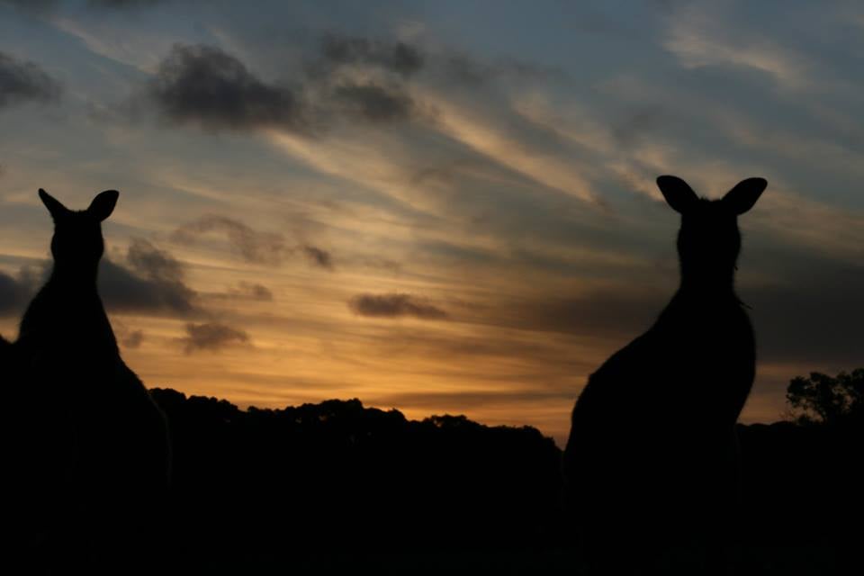 Karatta Sunset Nocturnal Adventure Tour