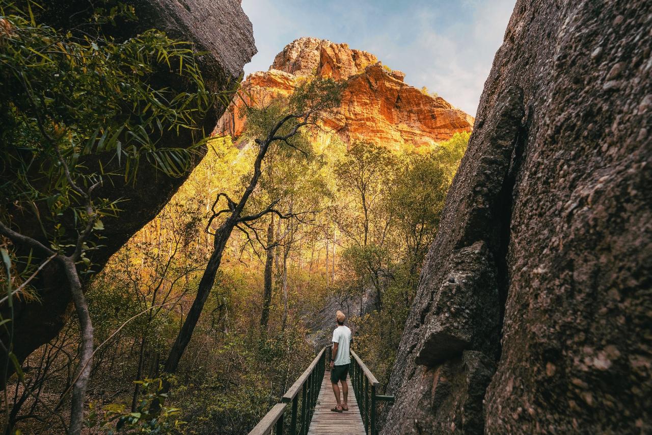 Kakadu + Litchfield 4WD (Camping) 3 Day – Basic Swag from Darwin