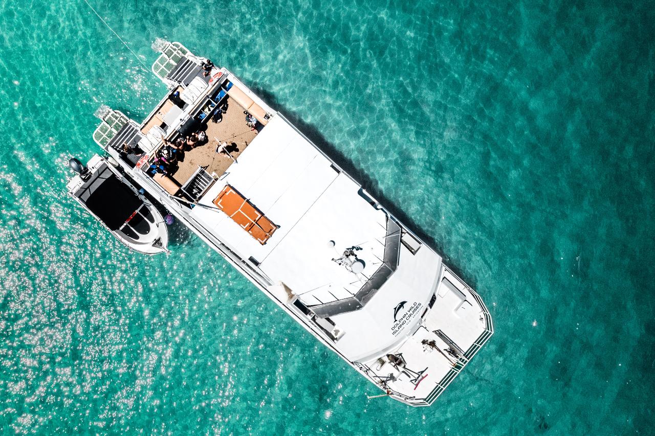 Moreton Island Eco Marine Safari Cruise and Snorkel