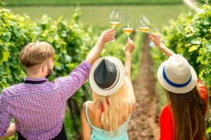 Mount Tamborine Winery Tour with Gourmet lunch