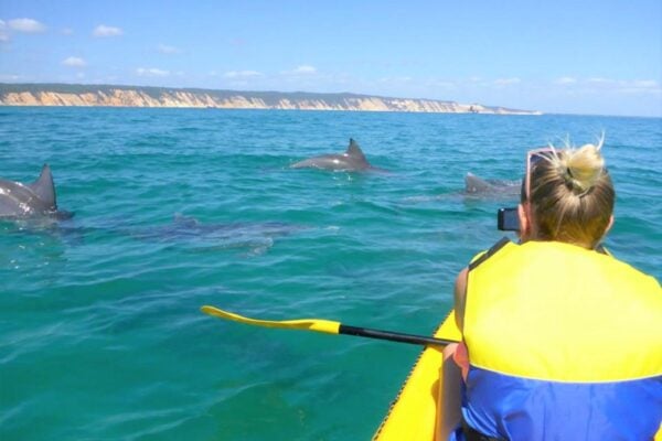 Noosa Dolphin View Sea Kayak & Beach 4X4 Adventure - Day Tour