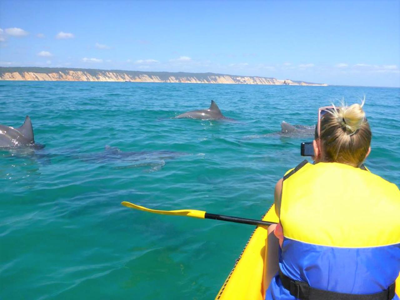 Noosa Dolphin View Sea Kayak & Beach 4X4 Adventure – Day Tour