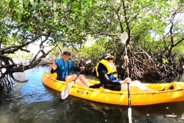 Noosa Heads- Hidden Waterways & Wildlife Kayak Tour