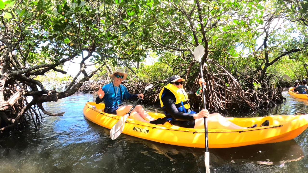 Noosa Heads: Hidden Waterways & Wildlife Kayak Tour