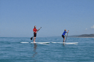 Noosa Stand Up Paddle Wildlife Tour & Beach 4x4 Day Trip