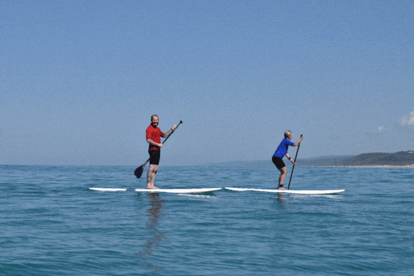 Noosa Stand Up Paddle Wildlife Tour & Beach 4x4 Day Trip