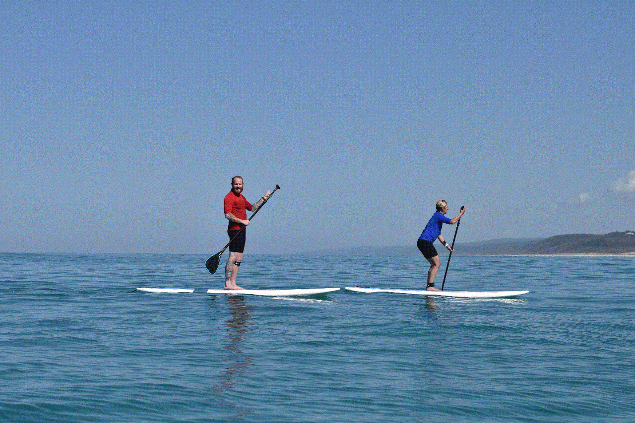 Noosa Stand Up Paddle Wildlife Tour & Beach 4×4 Day Trip