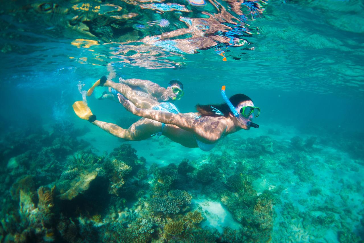 Perth to Exmouth 6 Day Coral Coaster (Shared Accommodation)