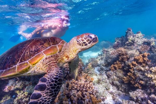 Perth to Exmouth Explorer 7 Day