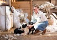 Phillip Island Penguin Parade & Churchill Island Farm Bus Tour