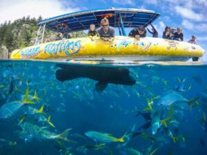 QLD Daydream Island Southern Lights tour
