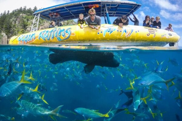 QLD Daydream Island Southern Lights tour