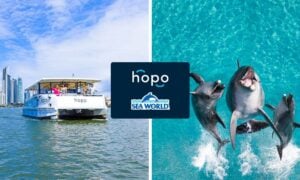 QLD Hopo Return Ferry Pass + Sea World Entry