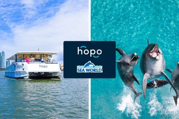 QLD Hopo Return Ferry Pass + Sea World Entry