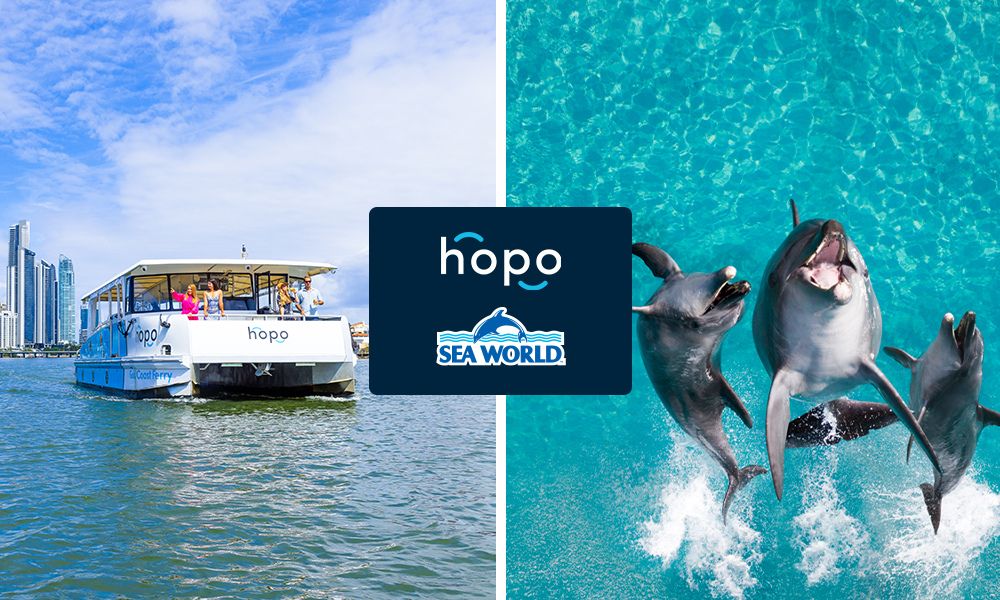 QLD Hopo Return Ferry Pass + Sea World Entry
