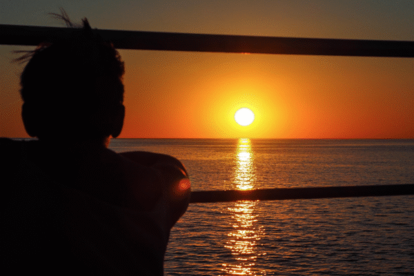 Roebuck Bay Sunset & Snubfin Dolphin Cruise