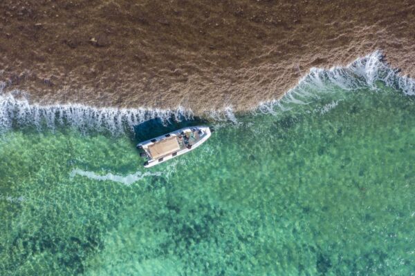 Sea Safari Boat Tour & Cygnet Bay Pearl Farm Scenic Flight