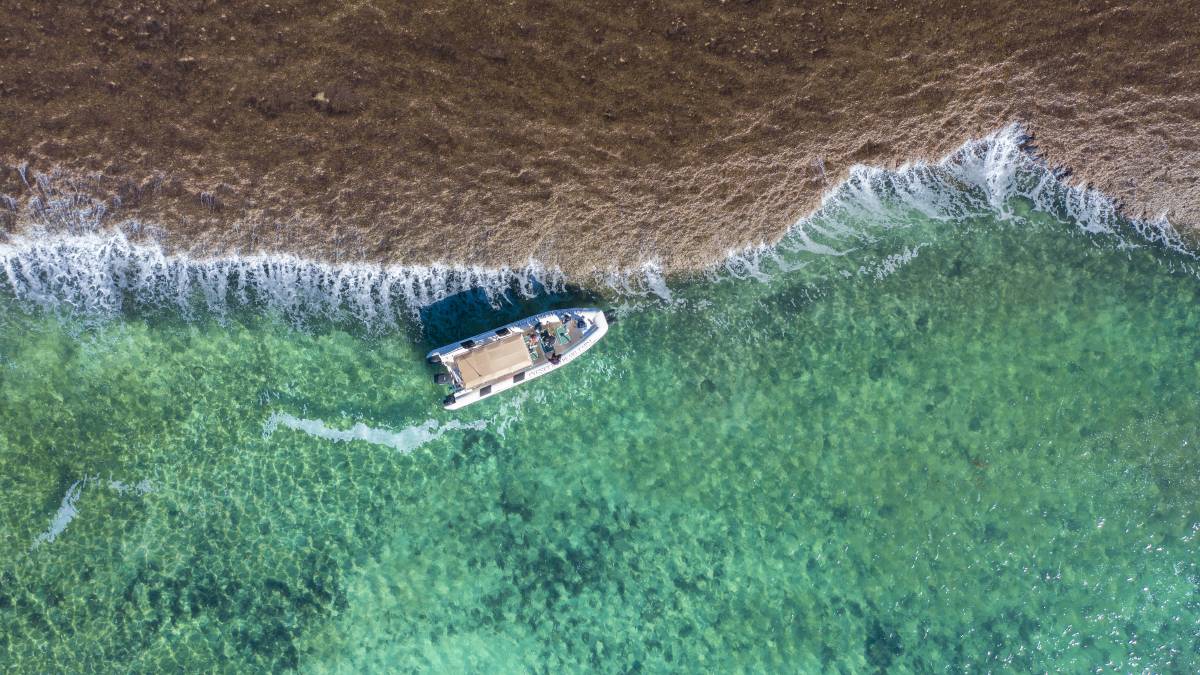Sea Safari Boat Tour & Cygnet Bay Pearl Farm Scenic Flight