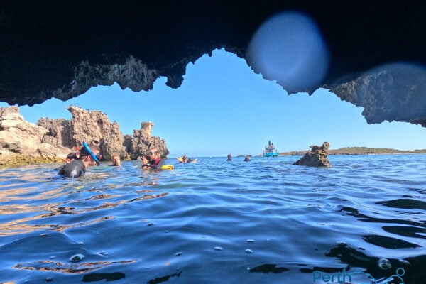 Shoalwater 3 Island Wildlife Snorkel