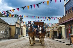 Sovereign Hill Botanical Gardens & Melbourne Skydeck Bus Tour