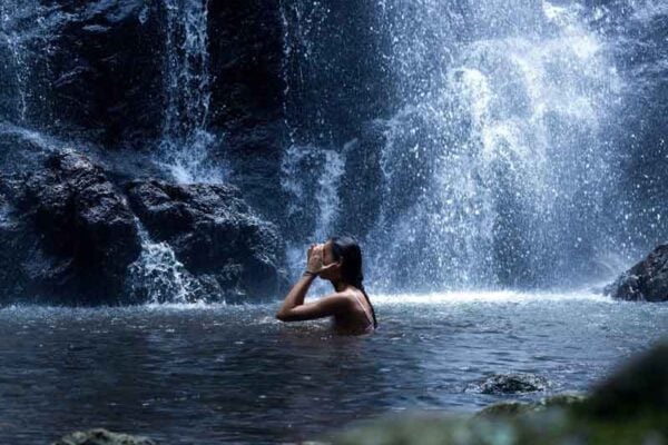 Surfers Paradise Hinterland Explorer