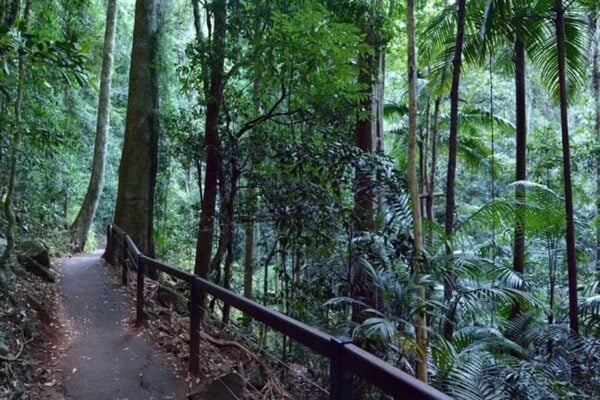Surfers Paradise Hinterland Explorer Two Day Pass