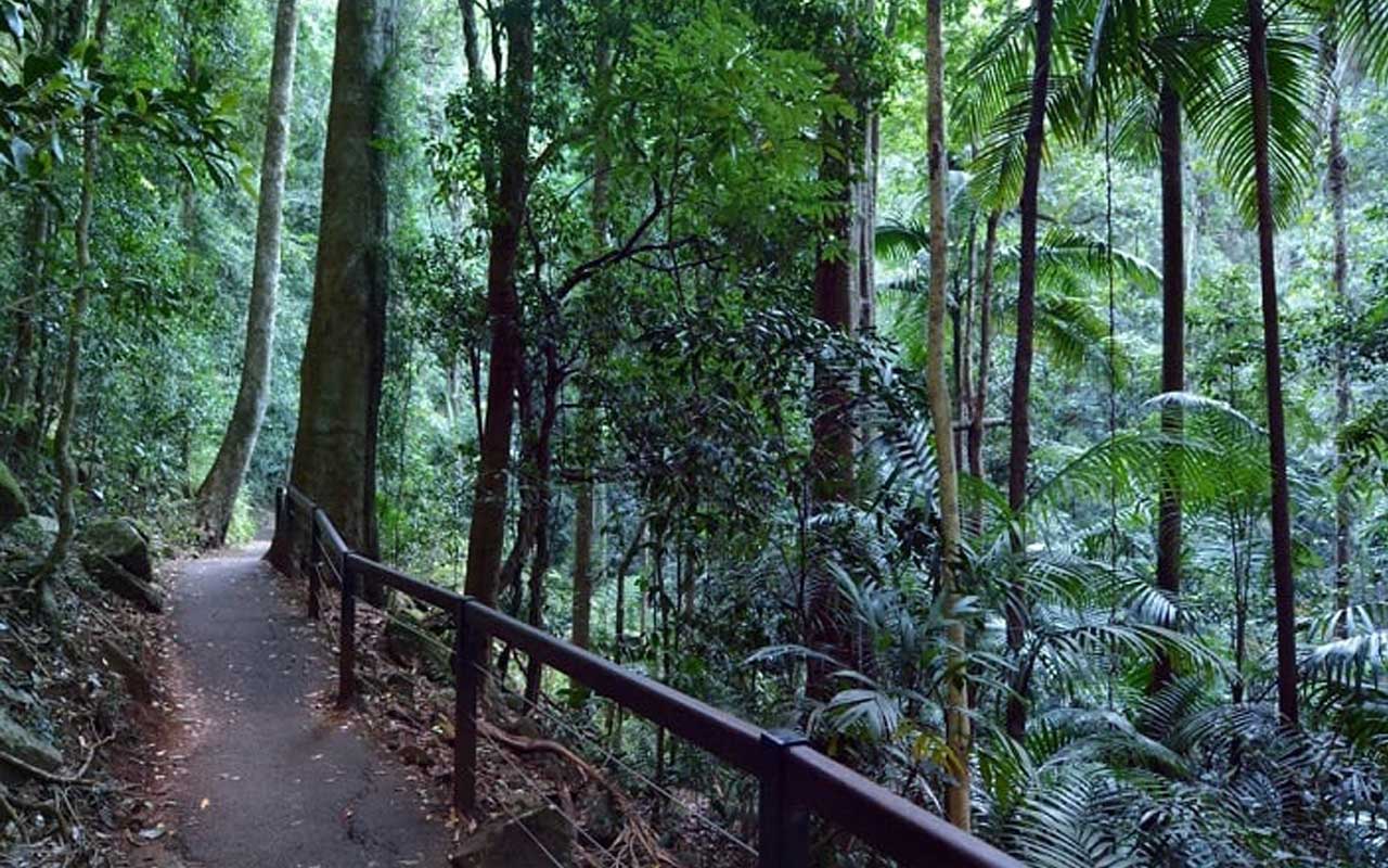 Surfers Paradise Hinterland Explorer Two Day Pass