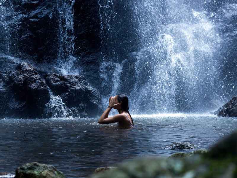 Surfers Paradise Hinterland Explorer Three Day Pass