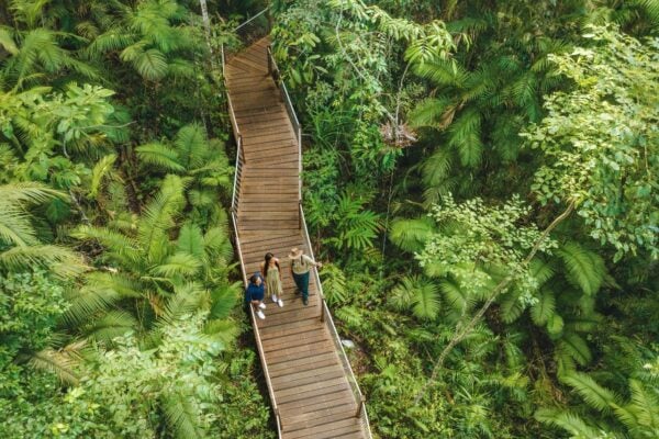 3 Day Cairns to Daintree Cape Tribulation Port Douglas Comfort Tour (Twin Share)