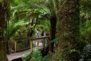 Adelaide to Melbourne 3 Day Tour