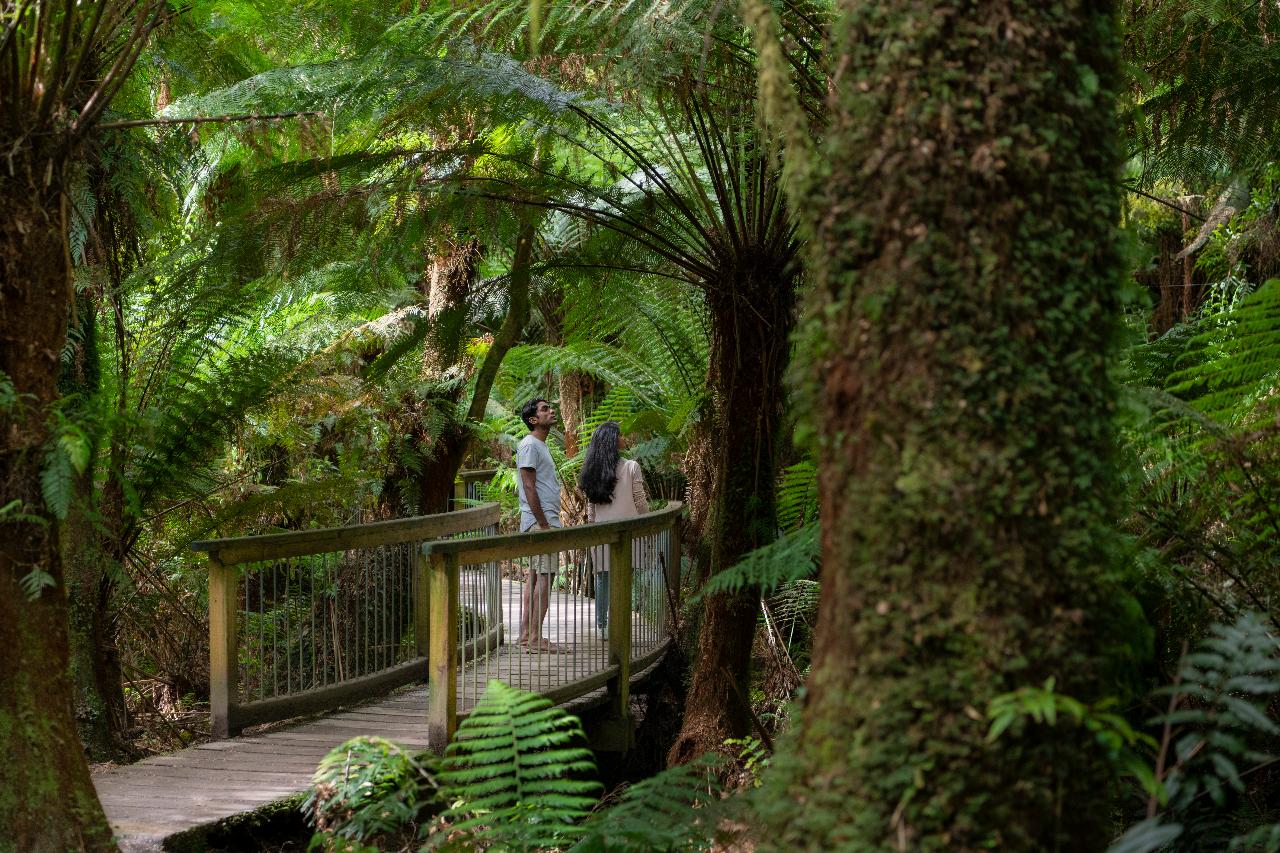 Adelaide to Melbourne 3 Day Tour