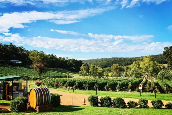 Bickley Valley Wine Tour Full Day Tour