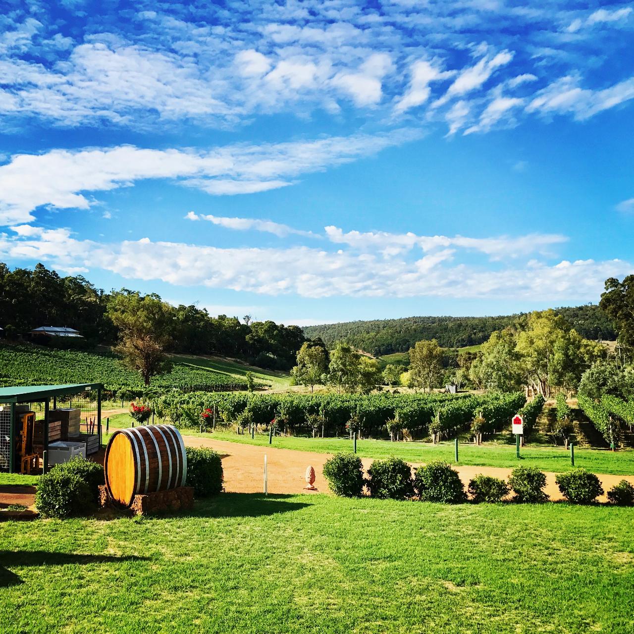 Bickley Valley Wine Tour Full Day Tour