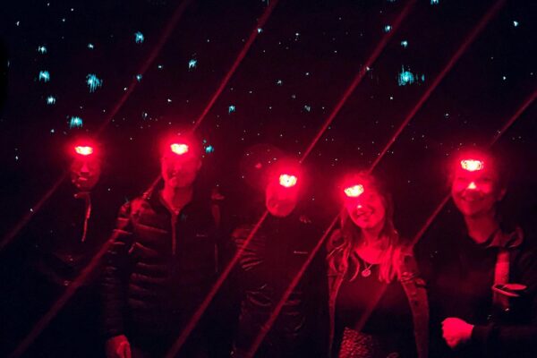 Blue mountains day, Sunset tour & Glow Worms night Adventure