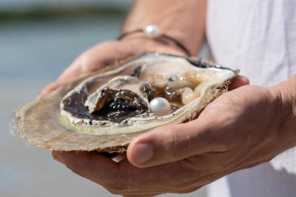 Cygnet Bay Explorer Wet Season