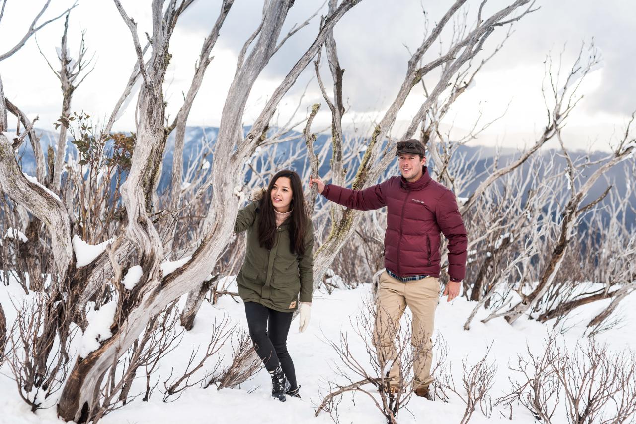 Lake Mountain Snow and Waterfalls Tour