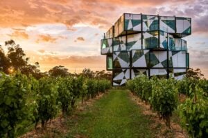 McLaren Vale Sightseeing Tour