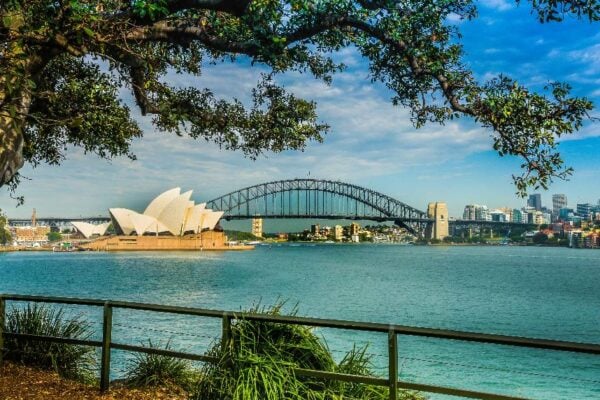 Morning Sydney Sights and Harbour Lunch Cruise