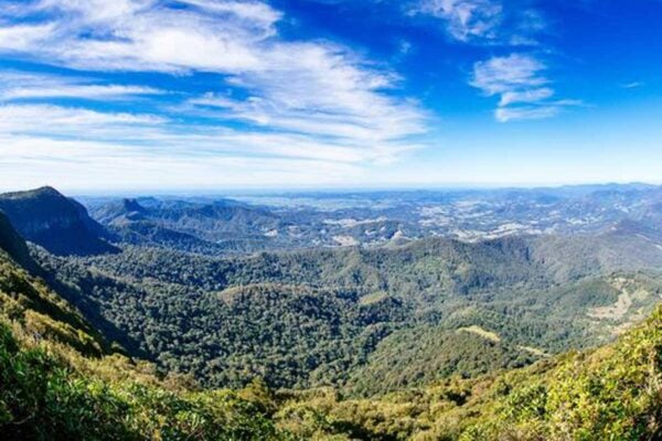 The Hinterland Explorer - 1 DAY PASS