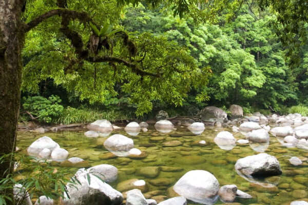 3 Day Cooktown & Daintree Tour