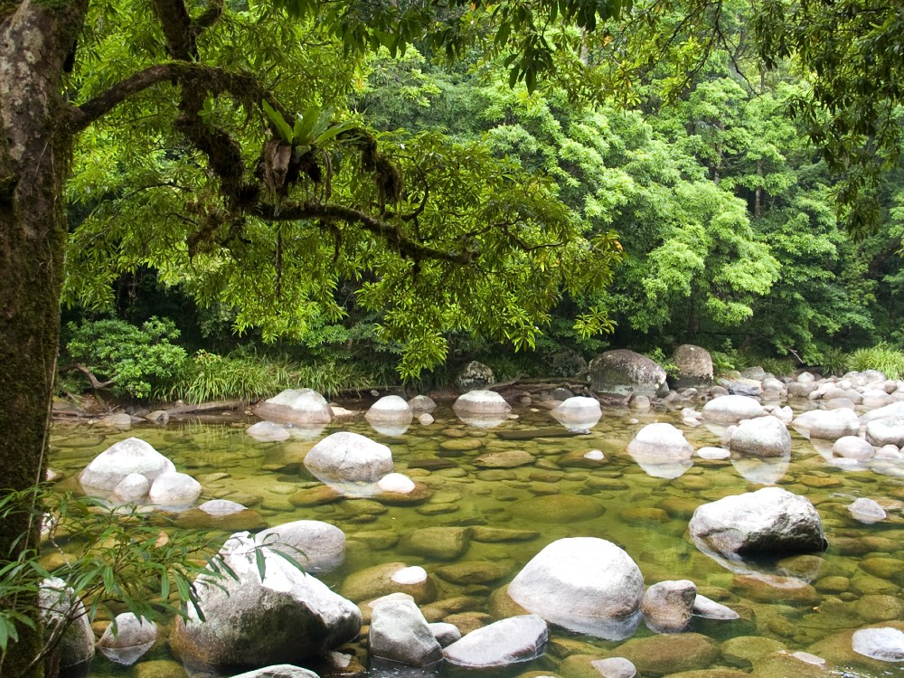 3 Day Cooktown & Daintree Tour